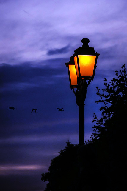 Symbolfoto: Pixabay Didgeman